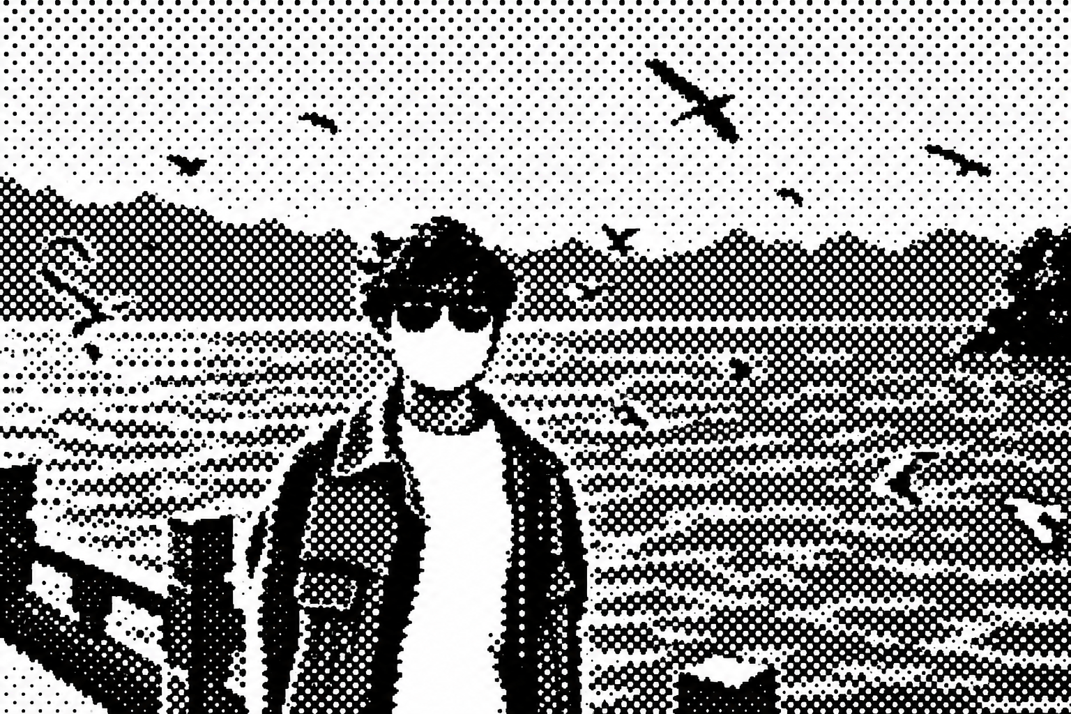 海边的 Lee 与海鸥
