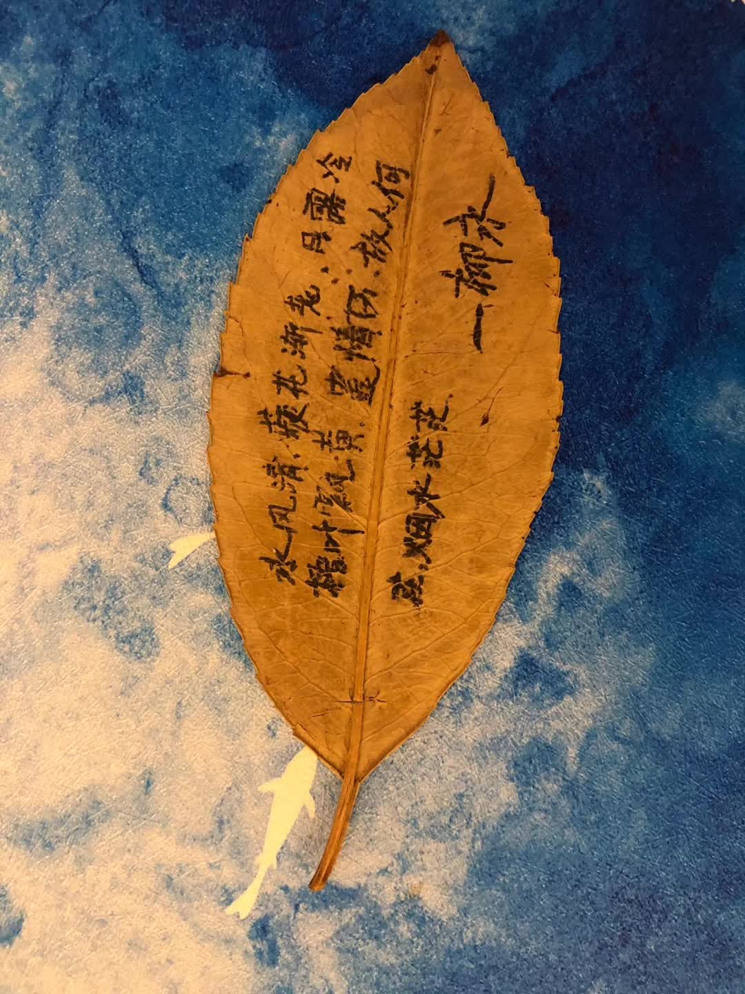 学时从二中的树上摘下,上面的词句是柳永的《玉蝴蝶》。