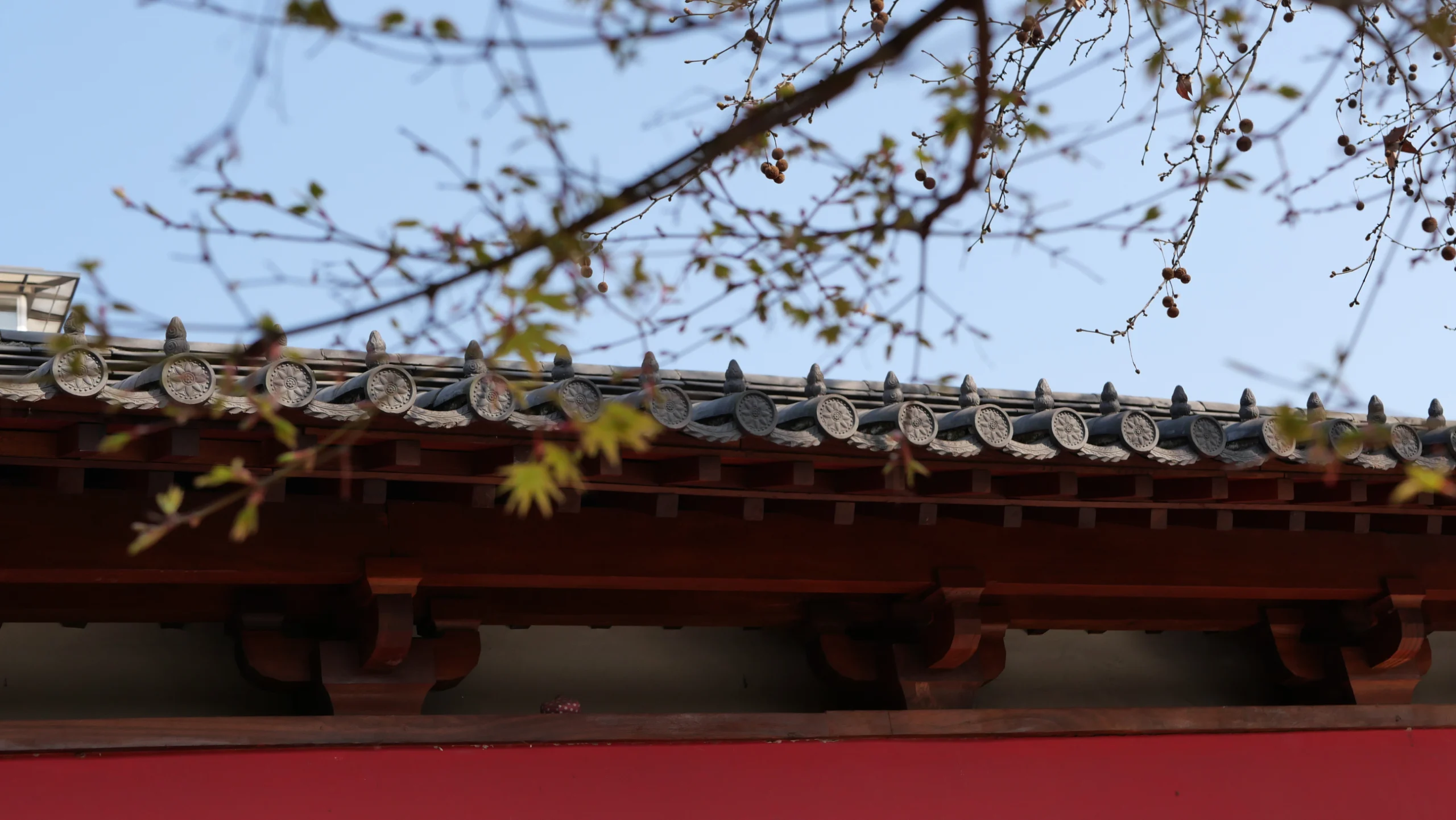 夏转秋, photo 6