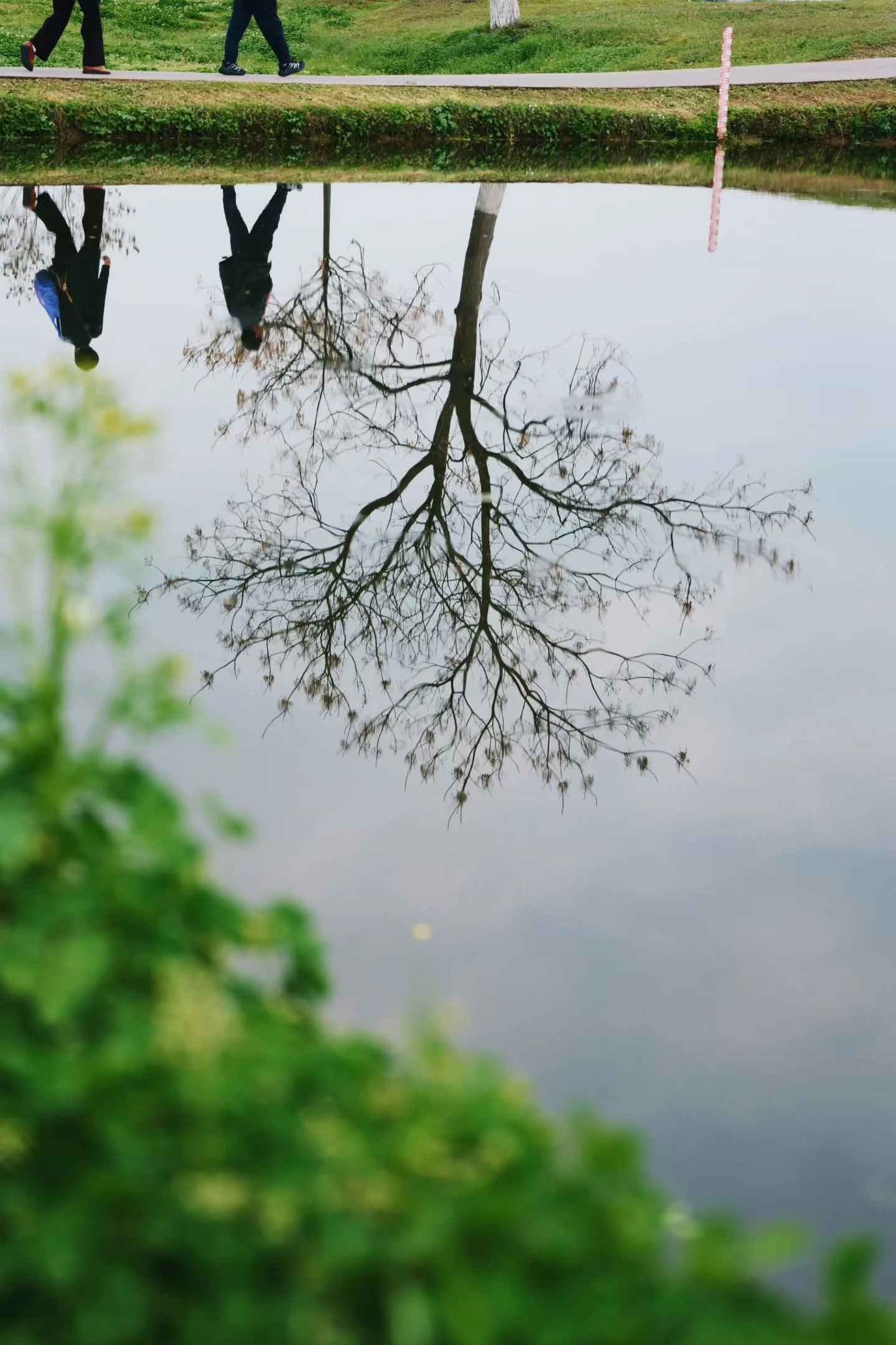 春转夏, photo 8