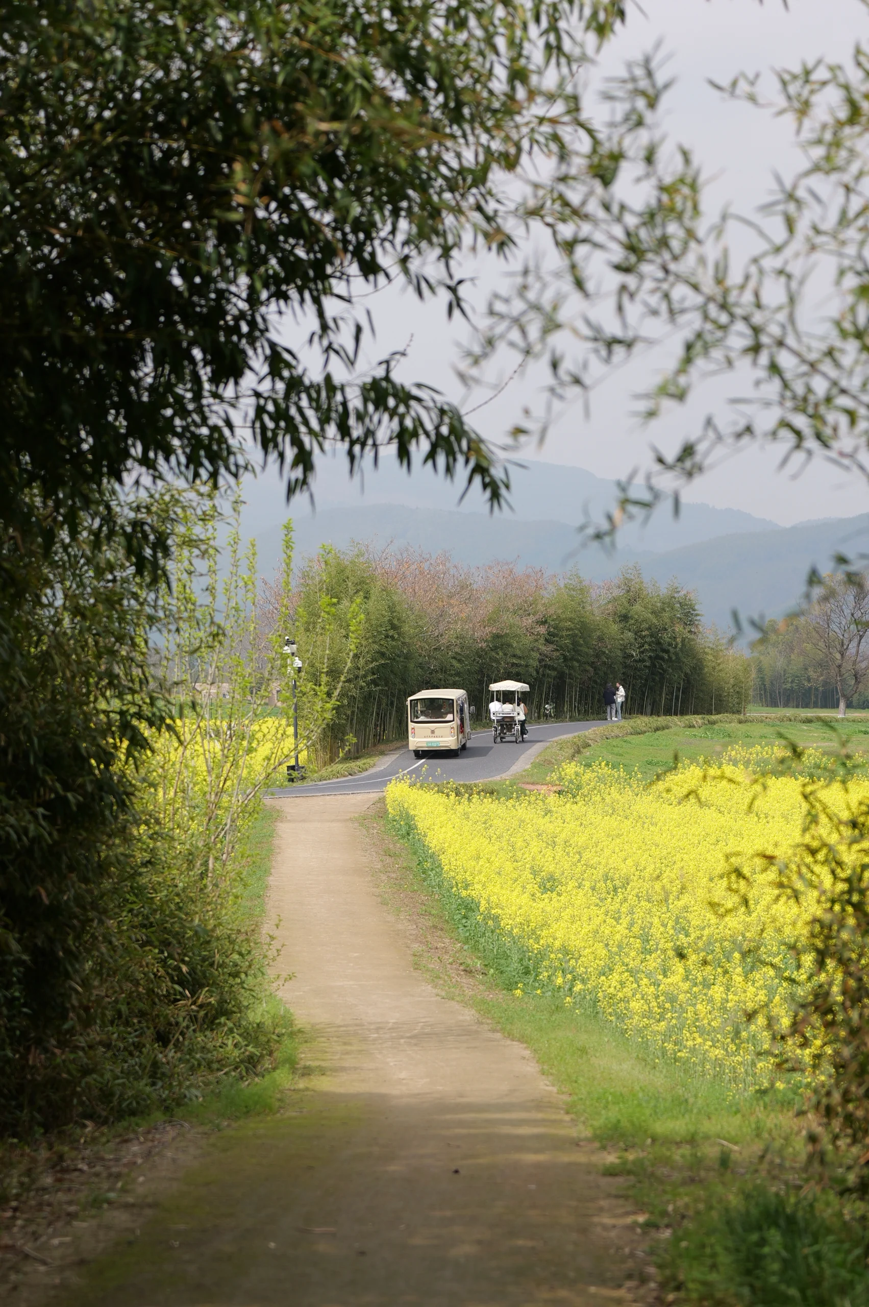 春转夏, photo 7