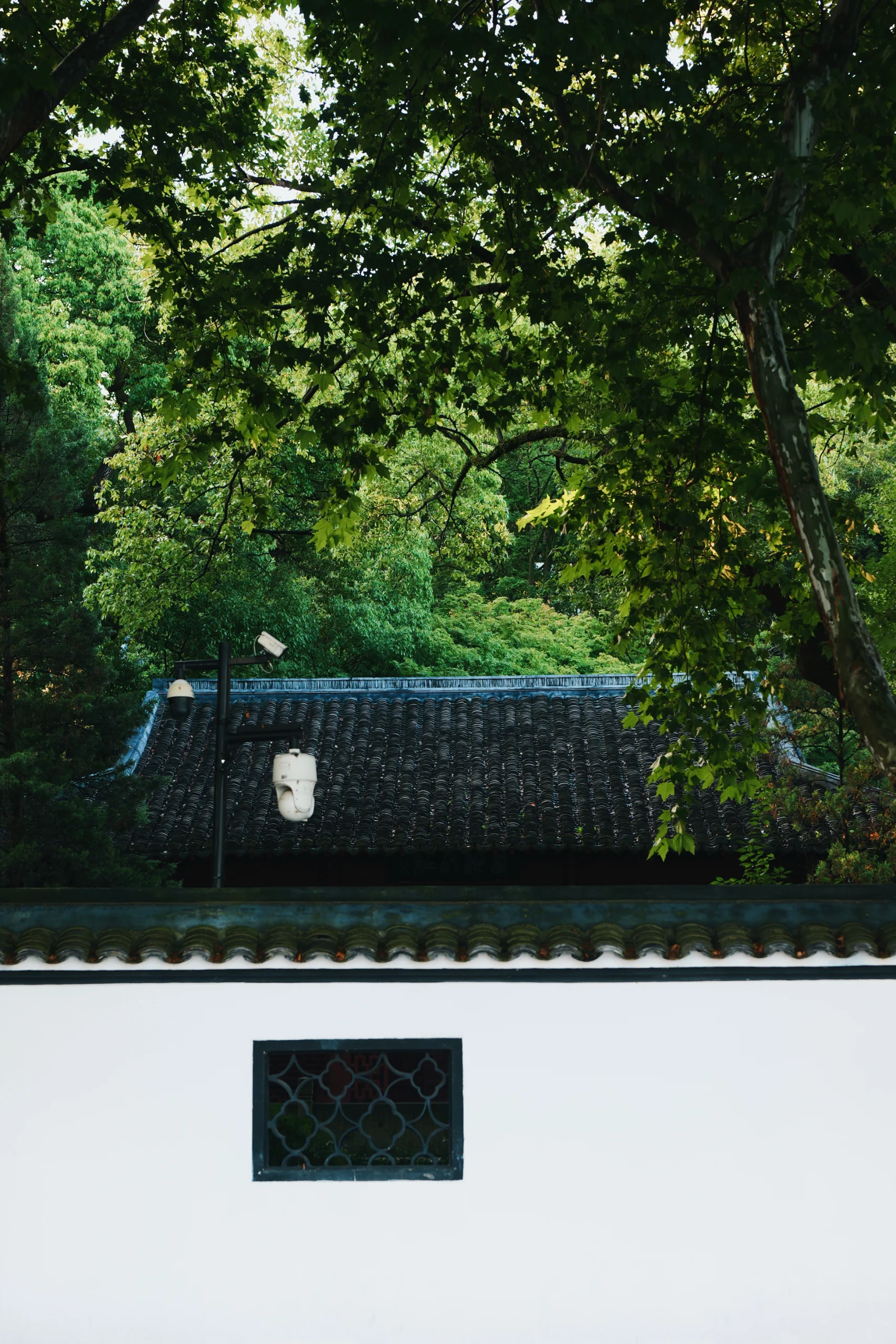 春转夏, photo 13