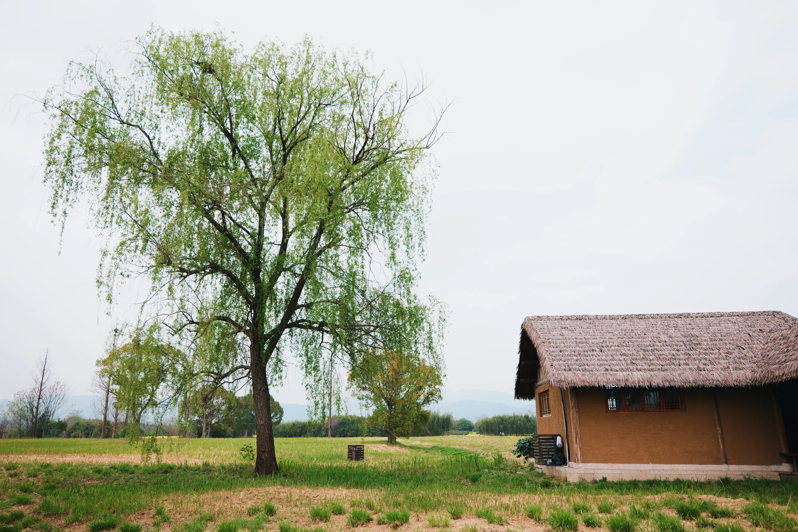 春转夏, photo 6